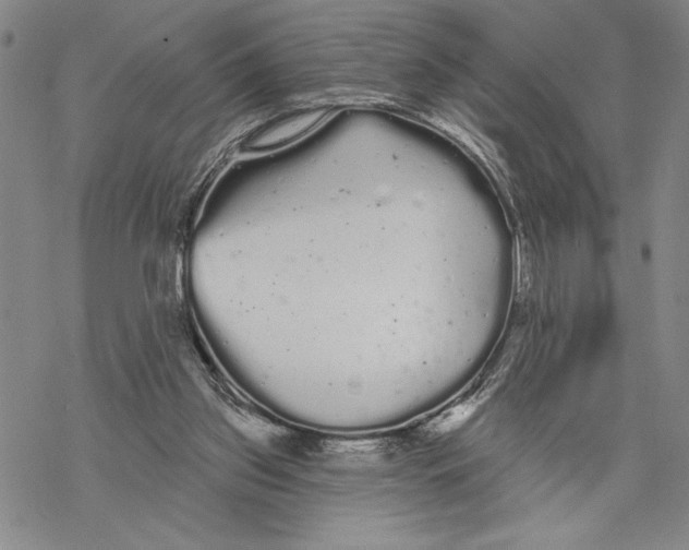 X0000068770157200605191657