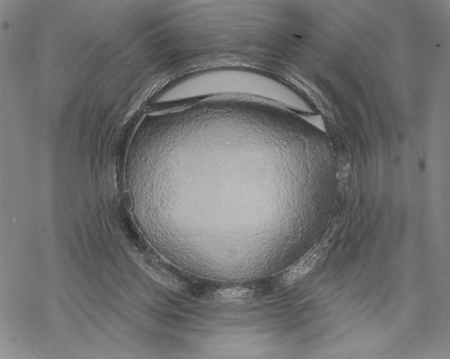 X0000068770158200605191657