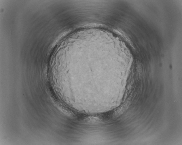 X0000068770159200605191657