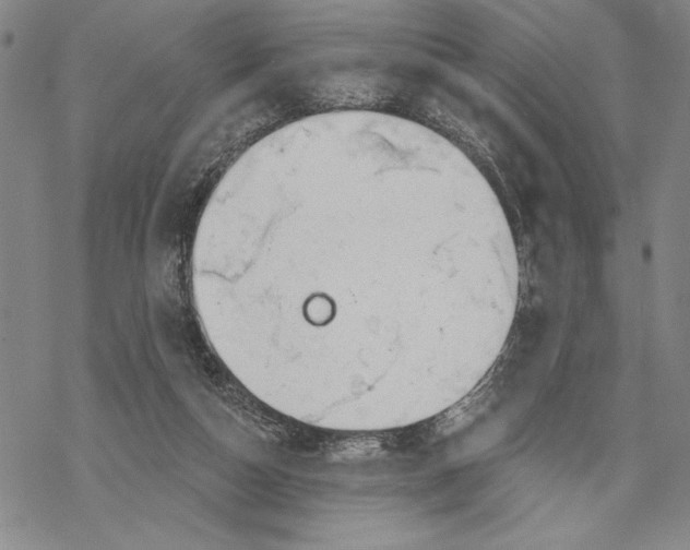 X0000068770162200605191657