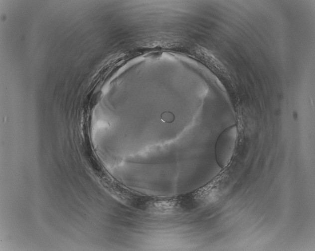 X0000068770163200605191657