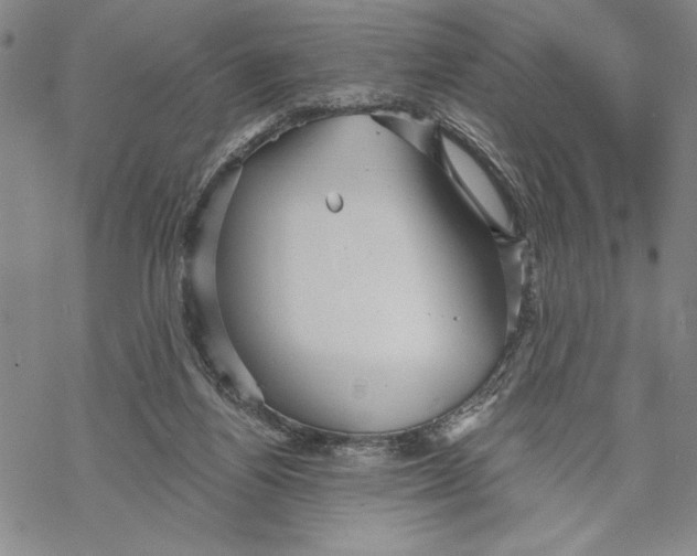 X0000068770164200605191657