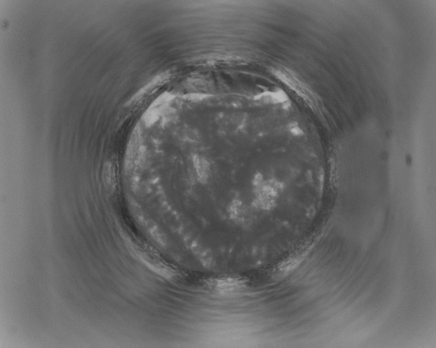 X0000068770165200605191657