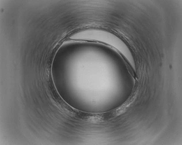 X0000068770168200605191657