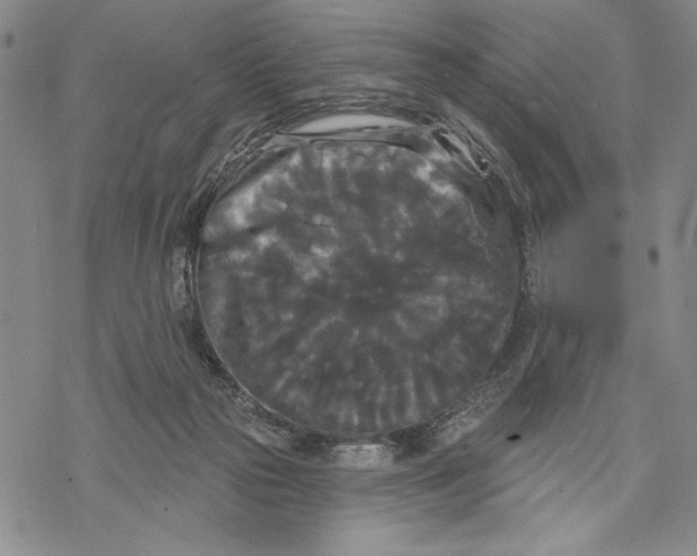 X0000068770169200605191657