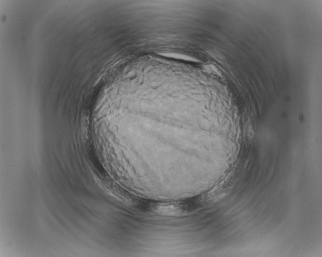 X0000068770171200605191657