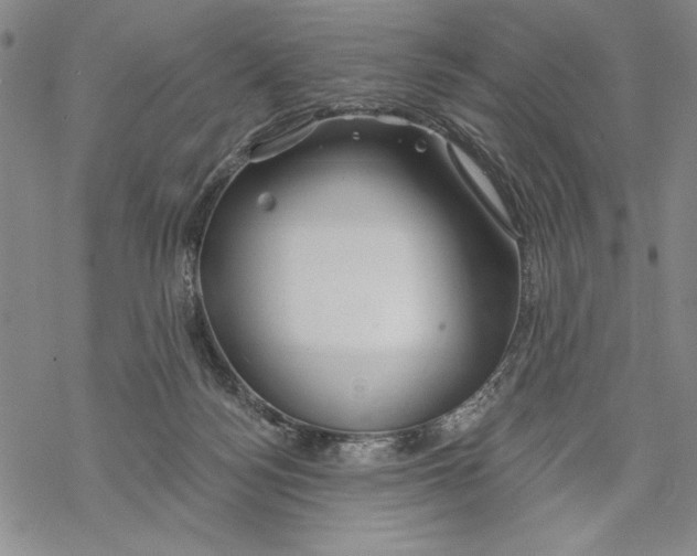 X0000068770172200605191657