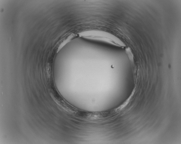 X0000068770174200605191657