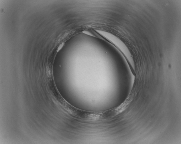 X0000068770176200605191657