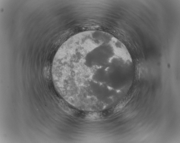 X0000068770177200605191657