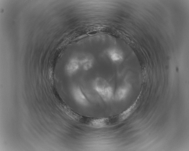 X0000068770178200605191657