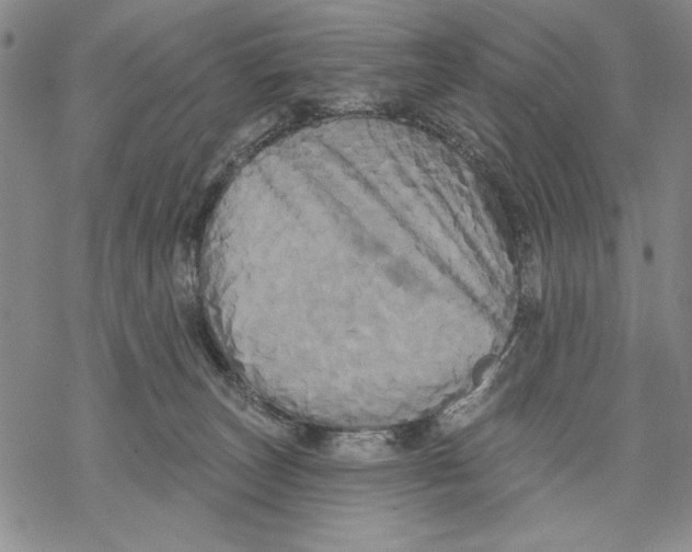 X0000068770179200605191657