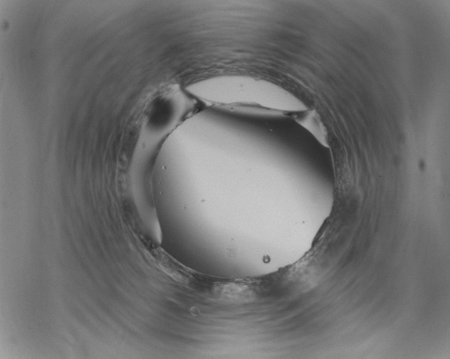 X0000068770180200605191657