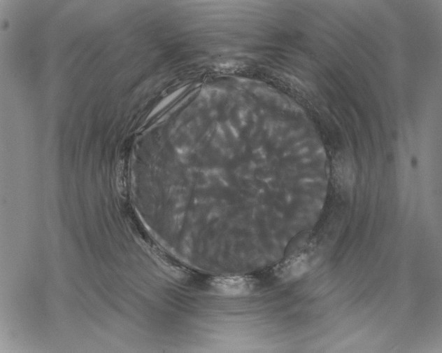 X0000068770181200605191657