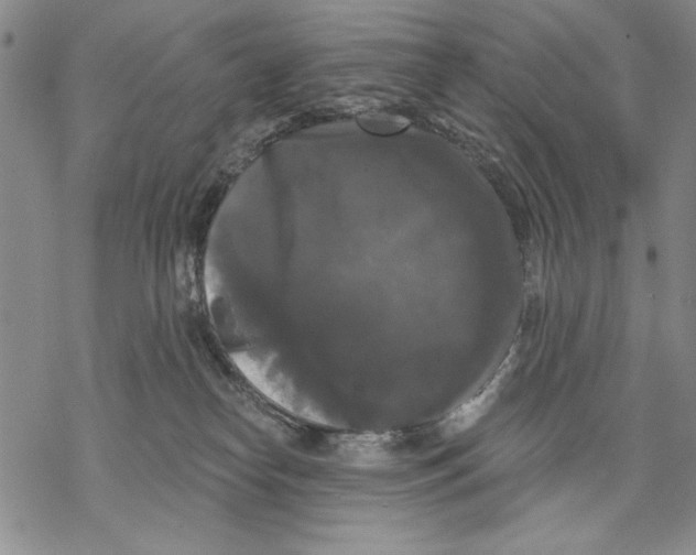 X0000068770182200605191657