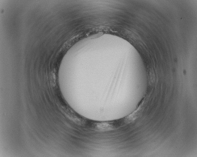 X0000068770183200605191657