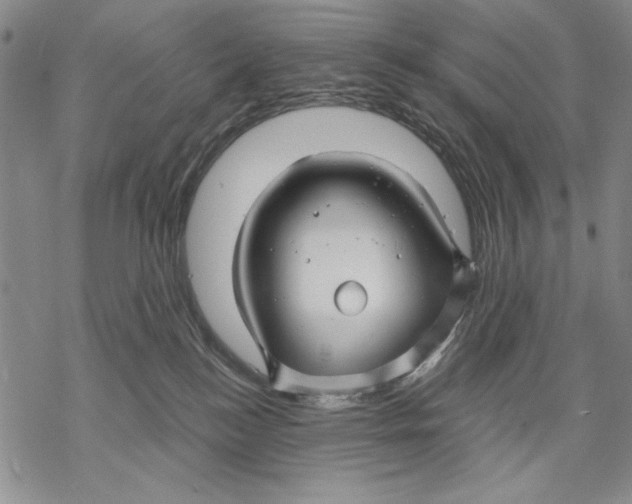 X0000068770184200605191657