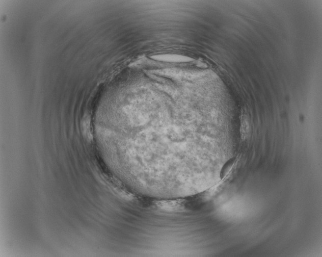 X0000068770187200605191657