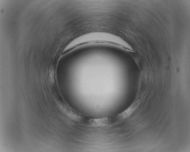 X0000068770188200605191657