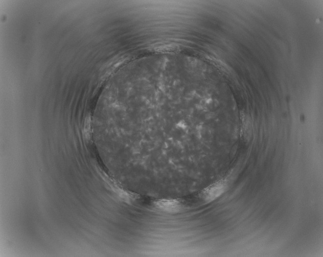 X0000068770189200605191657