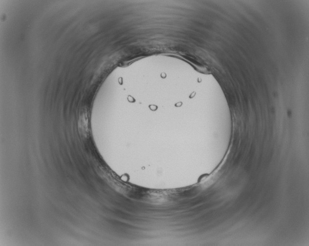 X0000068770190200605191657