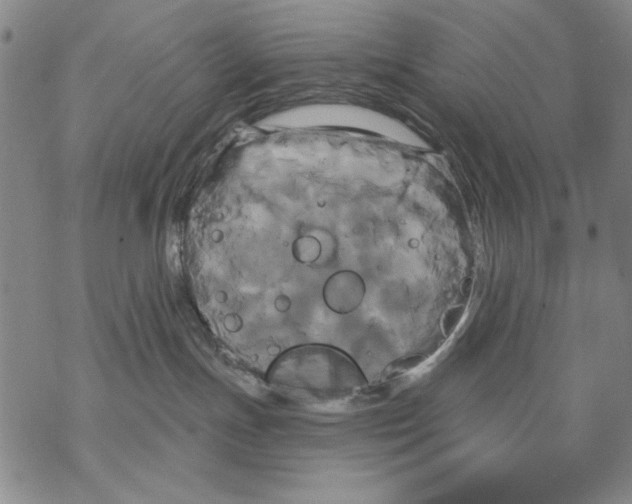 X0000068770191200605191657