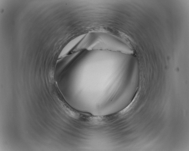 X0000068770192200605191657