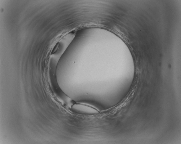 X0000068770193200605191656