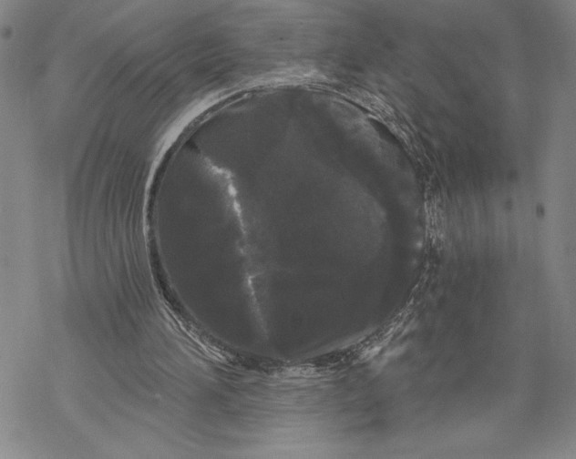 X0000068770196200605191656