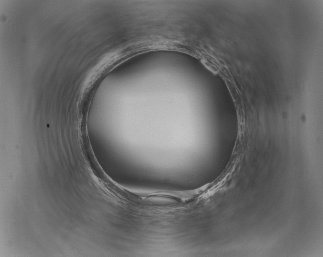 X0000068770197200605191656