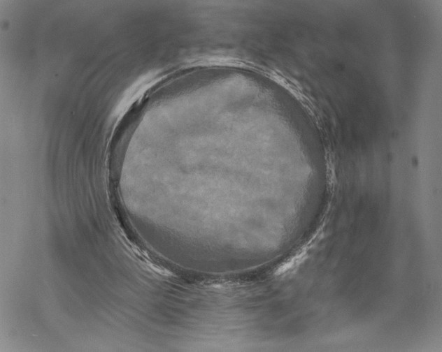 X0000068770199200605191656