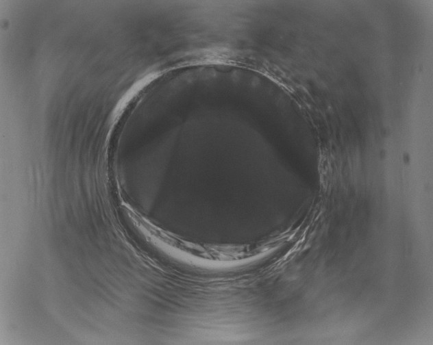 X0000068770200200605191656