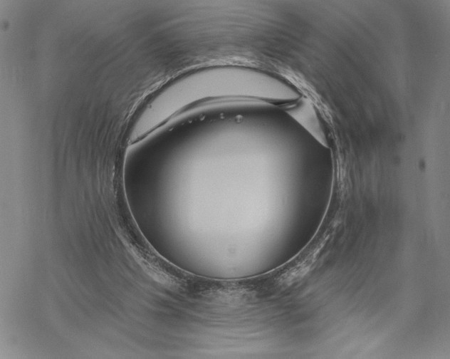 X0000068770201200605191656