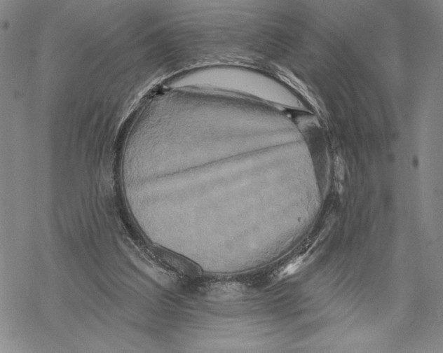 X0000068770203200605191656