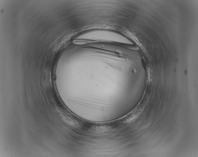 X0000068770205200605191656