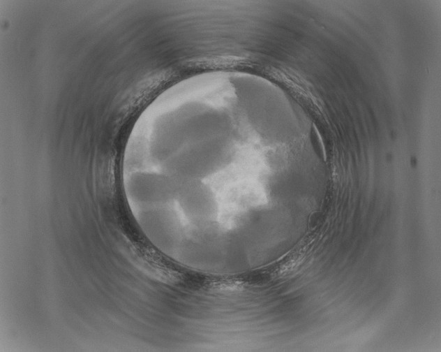 X0000068770206200605191656