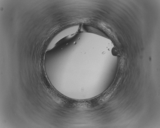 X0000068770209200605191656