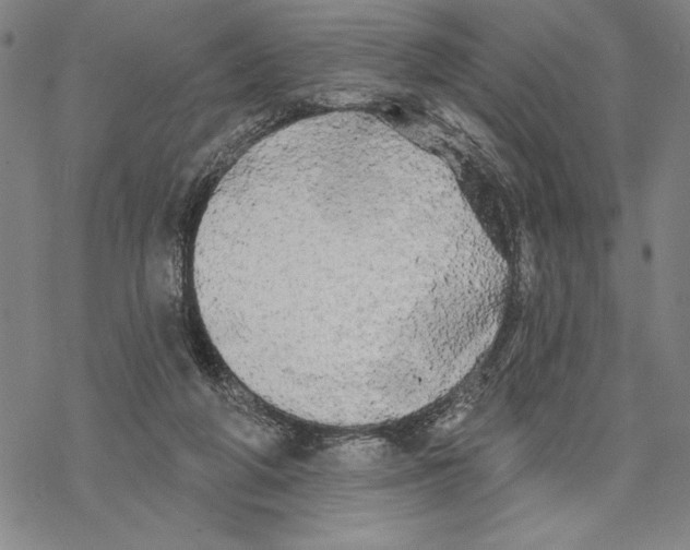 X0000068770210200605191656