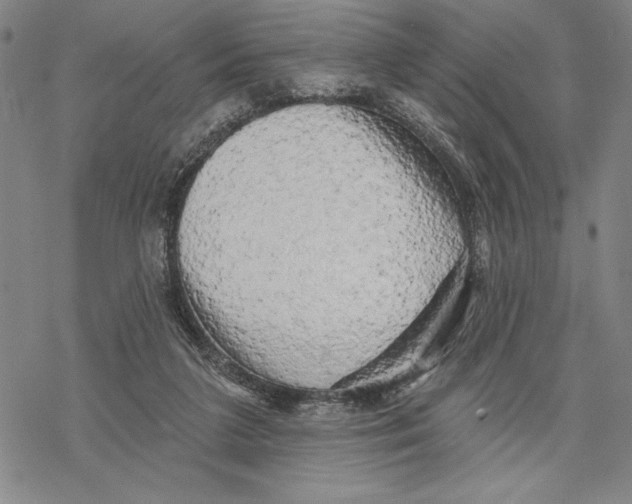 X0000068770211200605191656