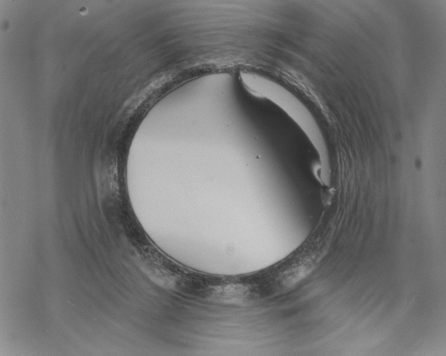 X0000068770212200605191656