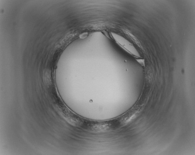 X0000068770213200605191656