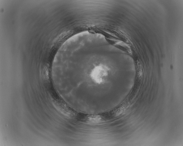 X0000068770214200605191656