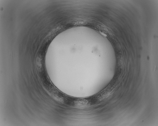 X0000068770215200605191656