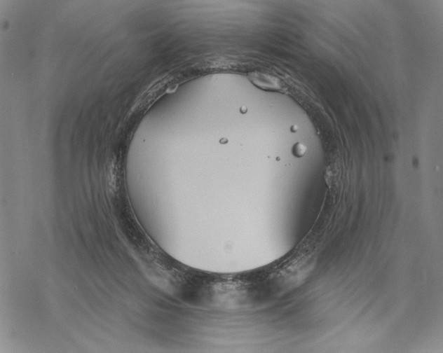 X0000068770216200605191656