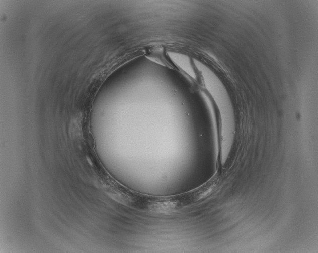 X0000068770217200605191656