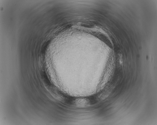 X0000068770218200605191656