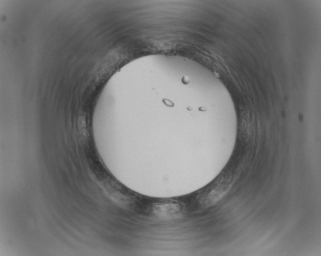 X0000068770220200605191656