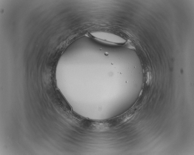 X0000068770221200605191656