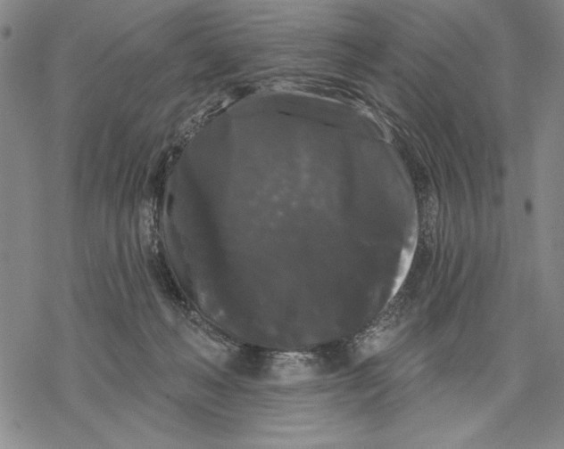 X0000068770222200605191656