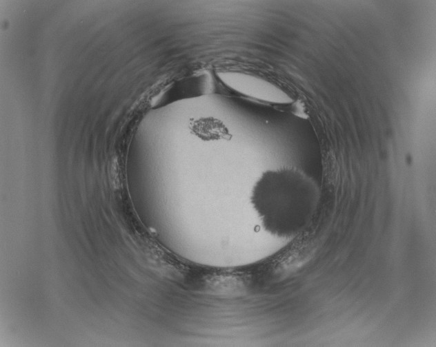 X0000068770224200605191656